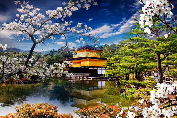 The Golden Pavilion Kinkakuji at Kyoto