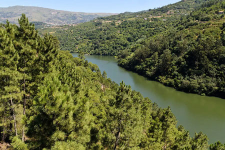 Douro river