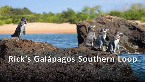 Galápagos Southern Loop